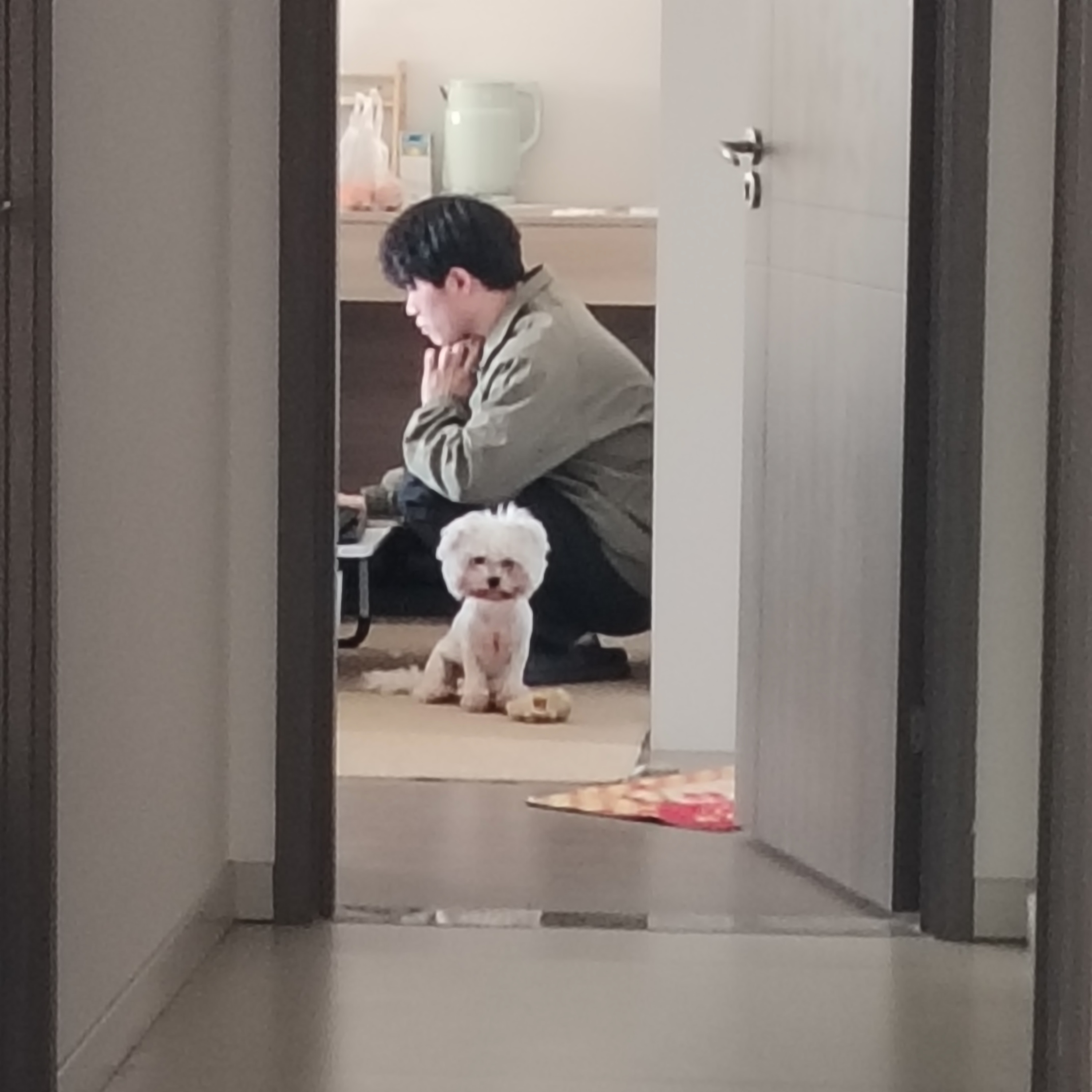 回忆照片