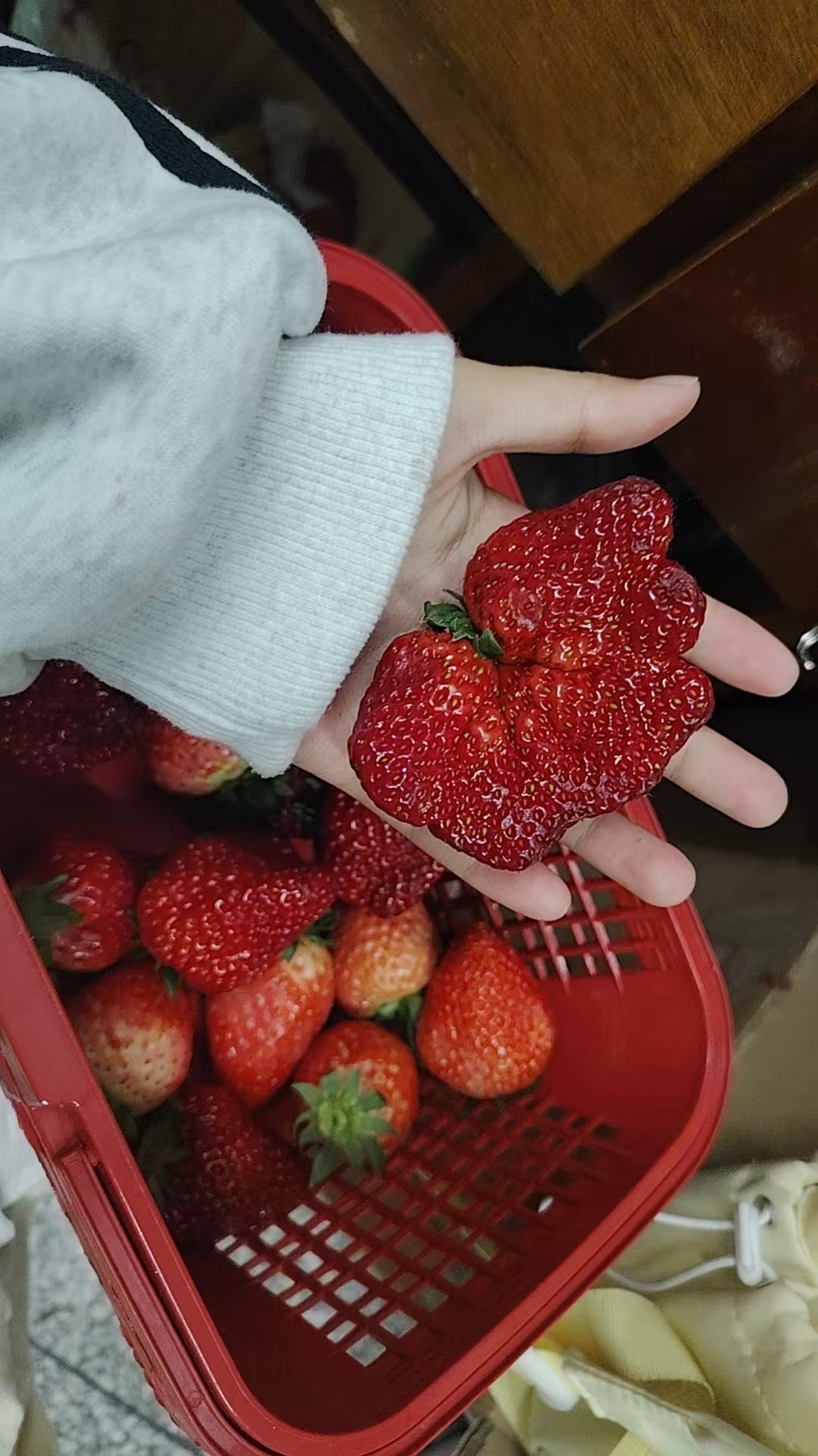 回忆照片